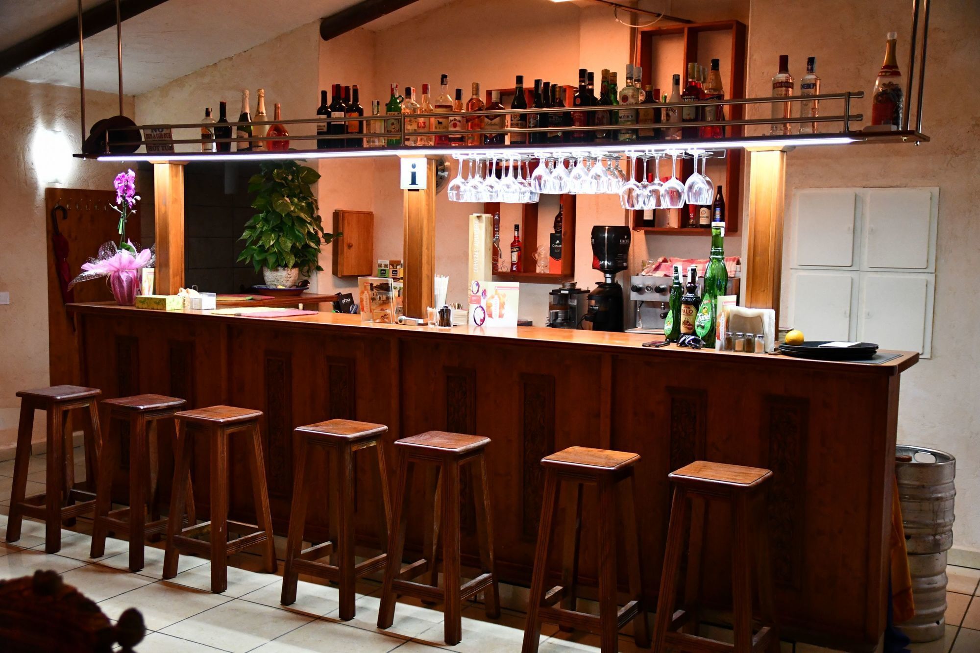 Lifestyle Ollymar- Adults Only
